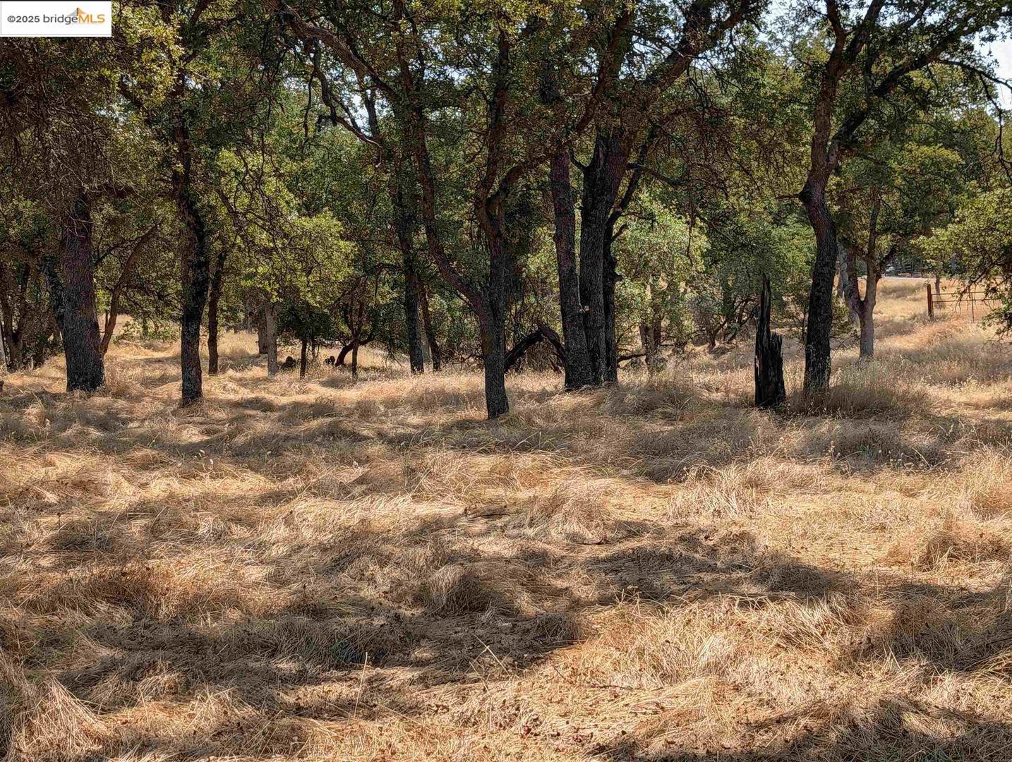 Detail Gallery Image 8 of 26 For 18340 Henry D Ct, Sonora,  CA 95370 - – Beds | – Baths