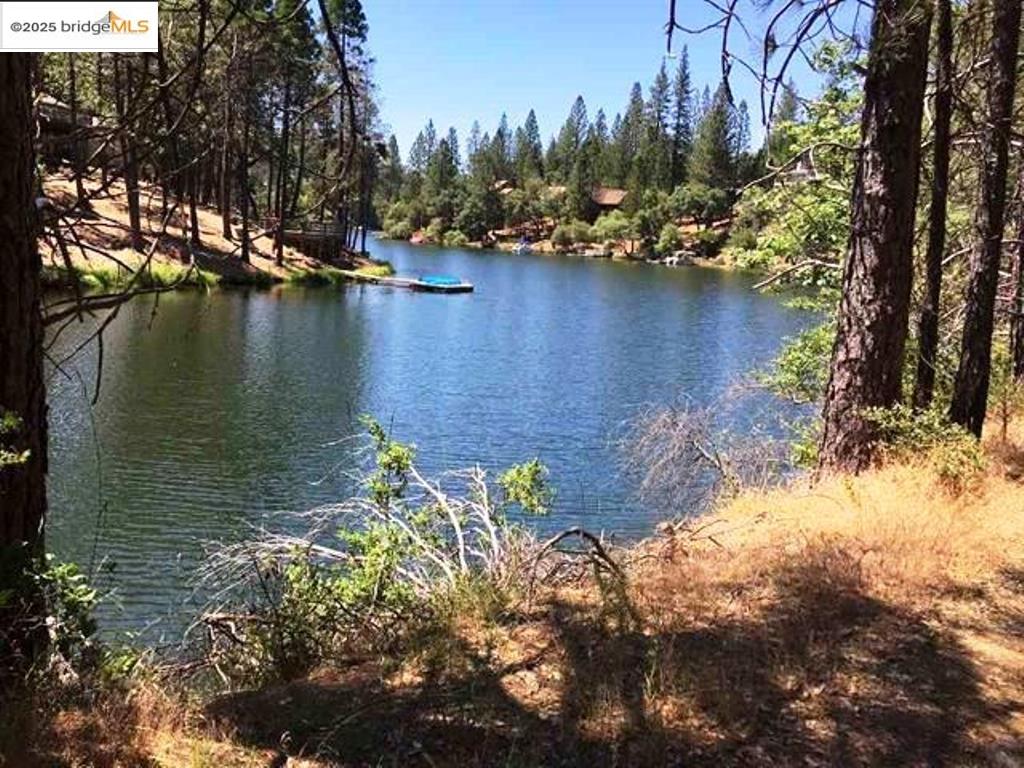Detail Gallery Image 1 of 18 For 20158 Pine Mountain, Groveland,  CA 95321 - – Beds | – Baths