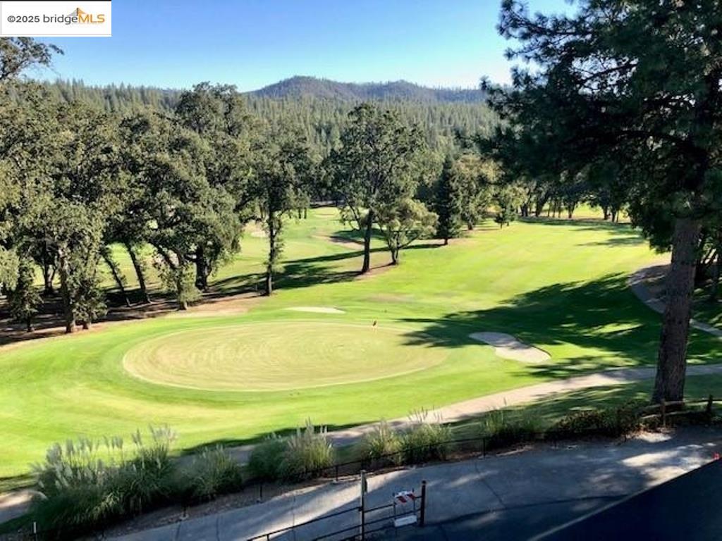 Detail Gallery Image 10 of 18 For 20158 Pine Mountain, Groveland,  CA 95321 - – Beds | – Baths