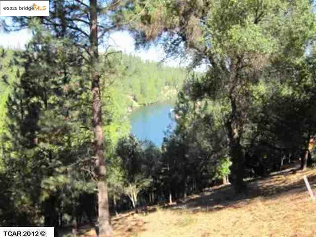 Detail Gallery Image 3 of 18 For 20158 Pine Mountain, Groveland,  CA 95321 - – Beds | – Baths