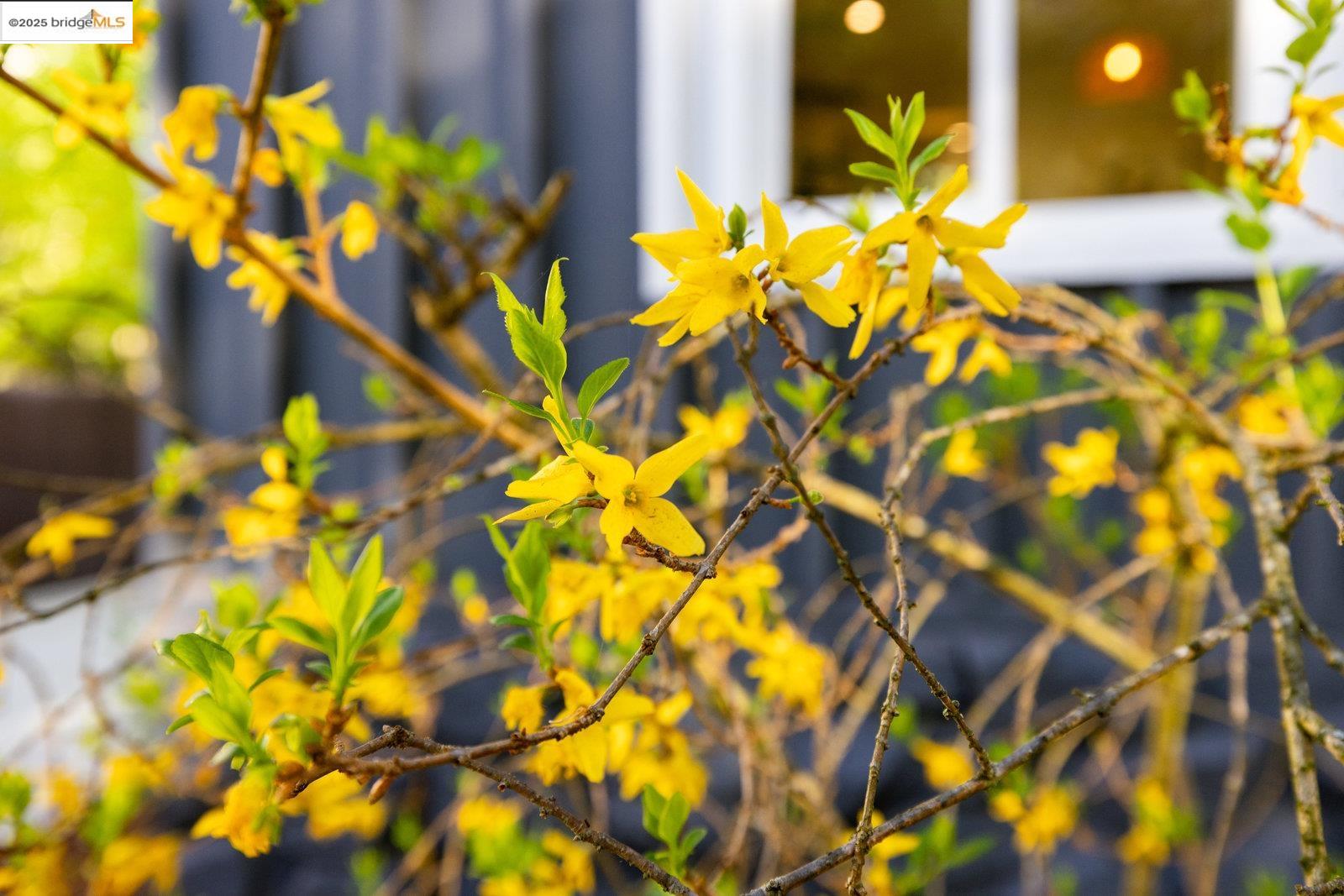 Detail Gallery Image 6 of 53 For 25 Cavoretto Ln, El Sobrante,  CA 94803 - 4 Beds | 2 Baths