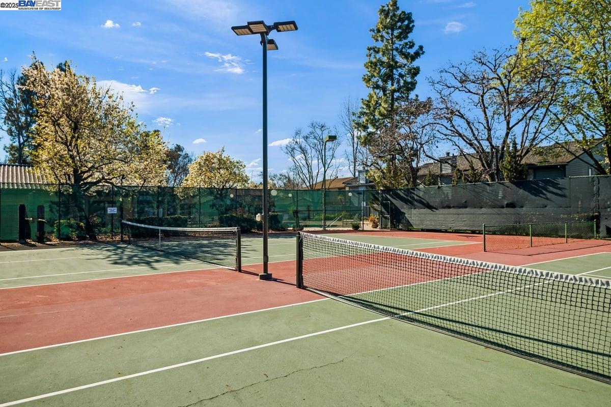 Photo #19: 41104739 Listing: Photo #19