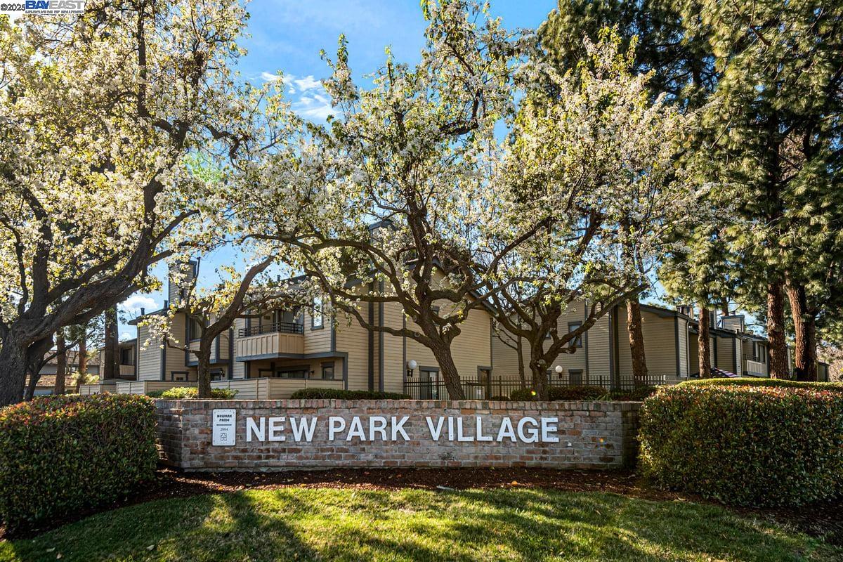 Photo #22: 41104739 Listing: Photo #22