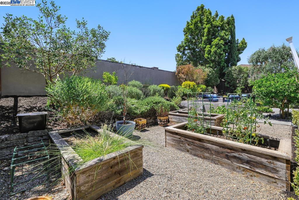 Detail Gallery Image 47 of 57 For 3676 Vineyard Ave, Pleasanton,  CA 94566 - 3 Beds | 2 Baths