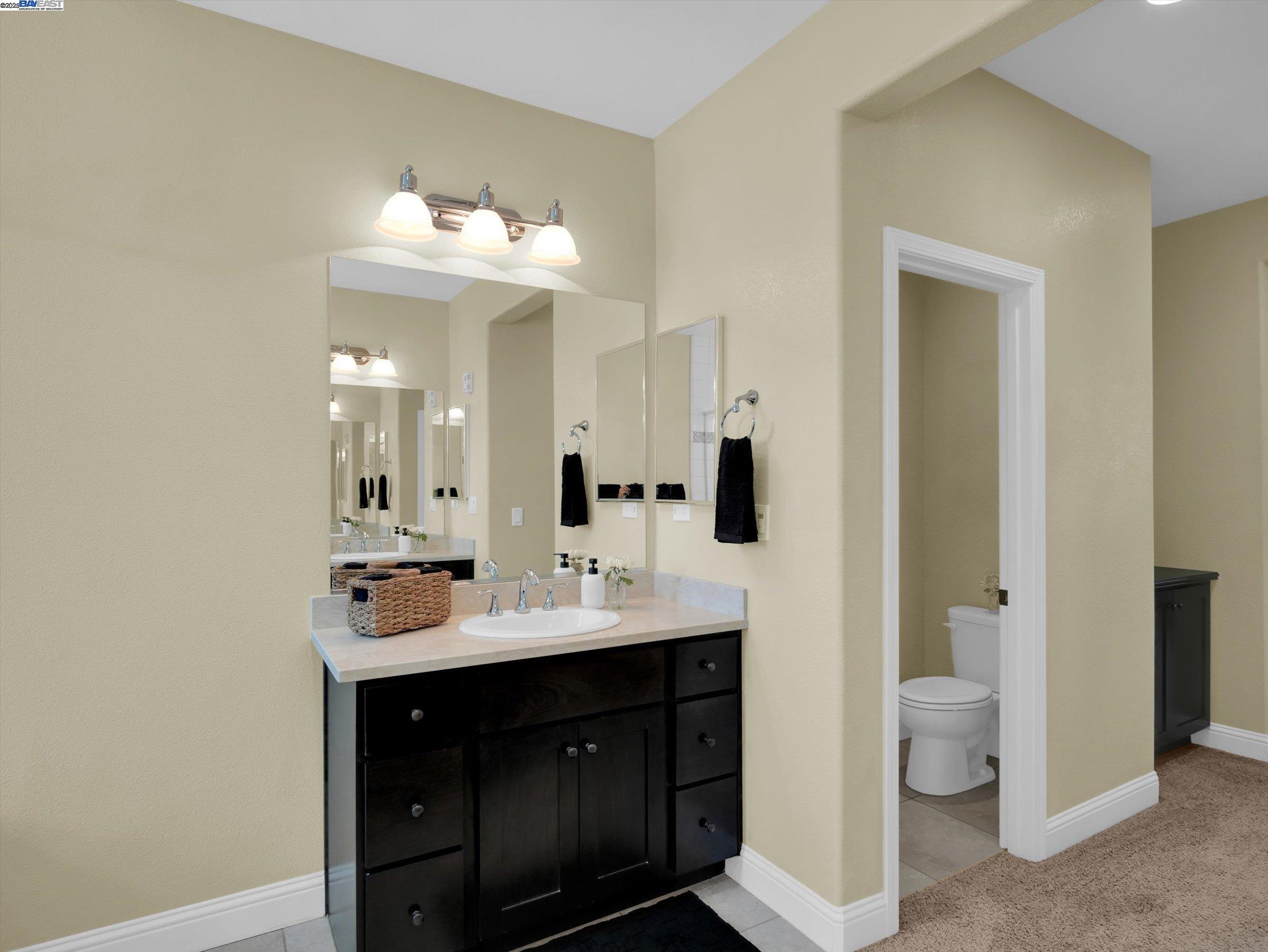 Detail Gallery Image 49 of 58 For 582 Pasture Ave, Lathrop,  CA 95330 - 4 Beds | 3 Baths