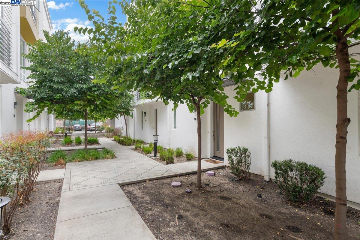 Photo #5: 41104793 Listing 
