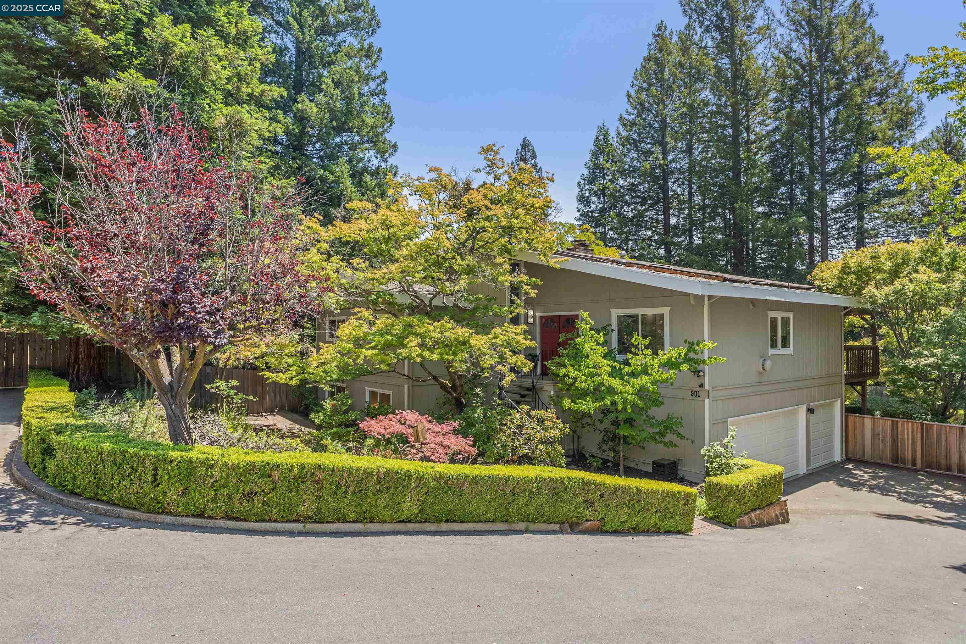 Detail Gallery Image 1 of 1 For 901 Carol Ln, Lafayette,  CA 94549 - 6 Beds | 3 Baths