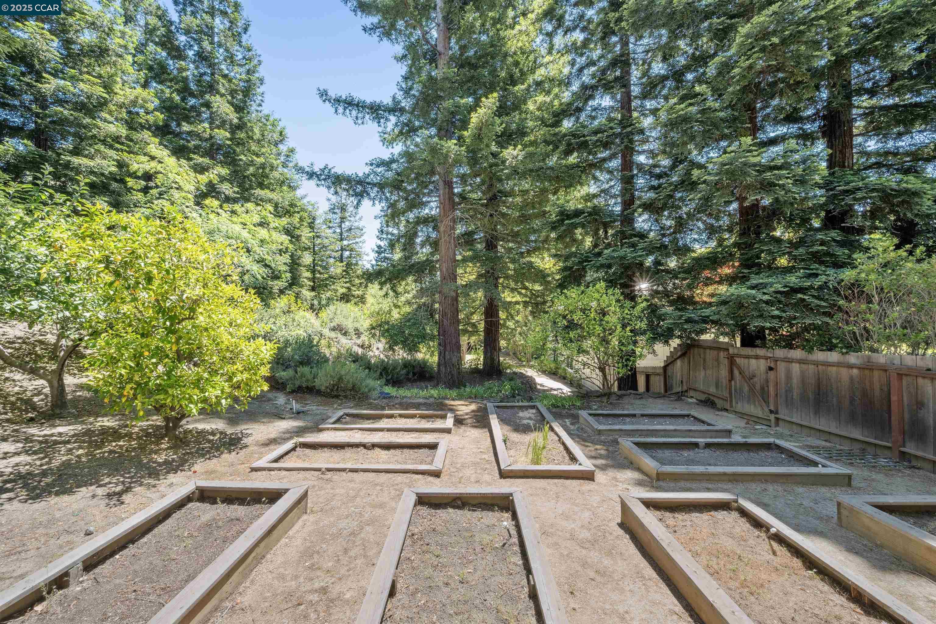 Detail Gallery Image 33 of 36 For 901 Carol Ln, Lafayette,  CA 94549 - 6 Beds | 3 Baths