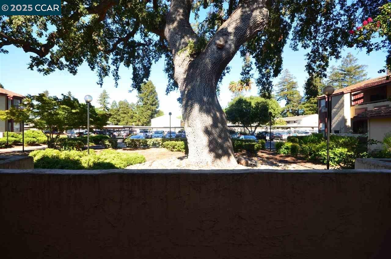 Detail Gallery Image 14 of 15 For 1391 Monument Blvd #11,  Concord,  CA 94520 - 2 Beds | 1/1 Baths