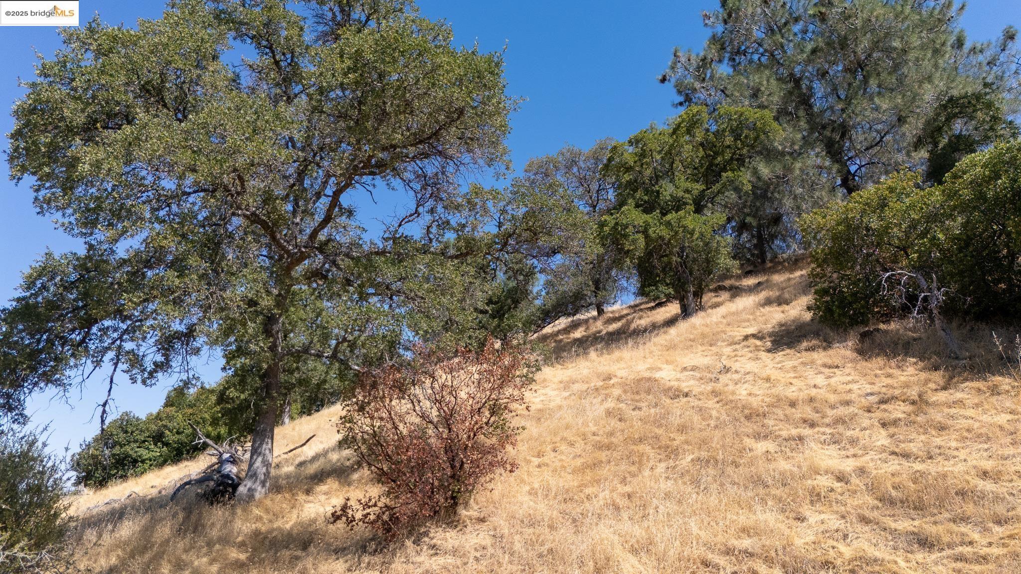 Detail Gallery Image 15 of 16 For 13044 Kanaka, Jamestown,  CA 95325 - – Beds | – Baths