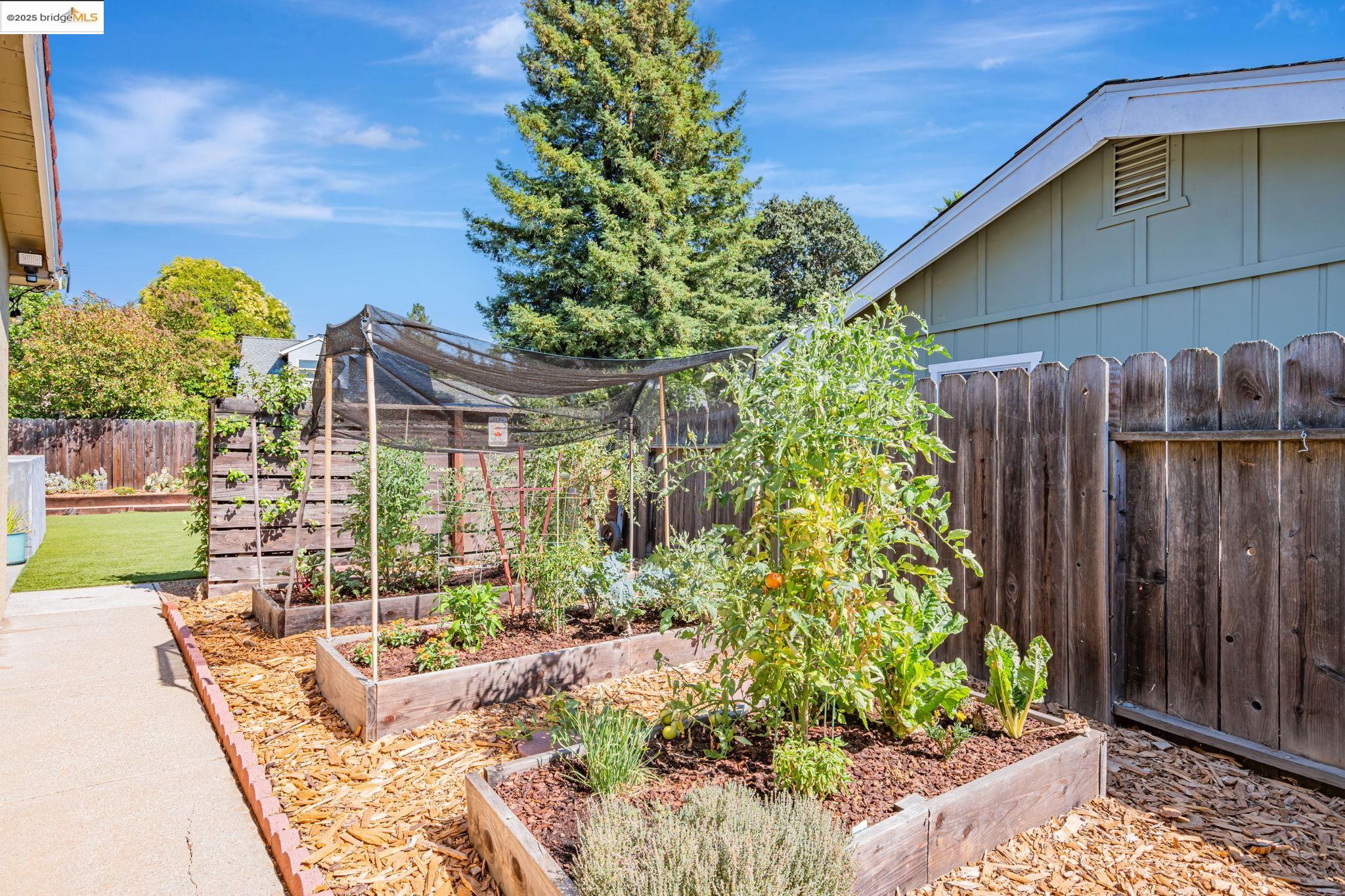 1376 Rosal Ln, Concord, California 94521, 3 Bedrooms Bedrooms, 6 Rooms Rooms,2 BathroomsBathrooms,Residential,For Sale,1376 Rosal Ln,41104871