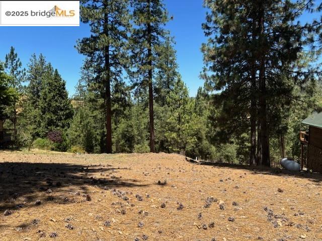 Detail Gallery Image 1 of 5 For 19364 Ferretti Rd, Groveland,  CA 95321 - – Beds | – Baths