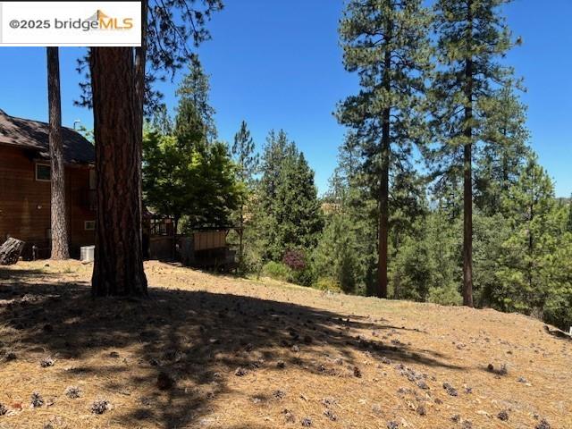 Detail Gallery Image 3 of 5 For 19364 Ferretti Rd, Groveland,  CA 95321 - – Beds | – Baths