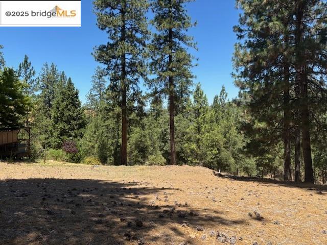 Detail Gallery Image 4 of 5 For 19364 Ferretti Rd, Groveland,  CA 95321 - – Beds | – Baths