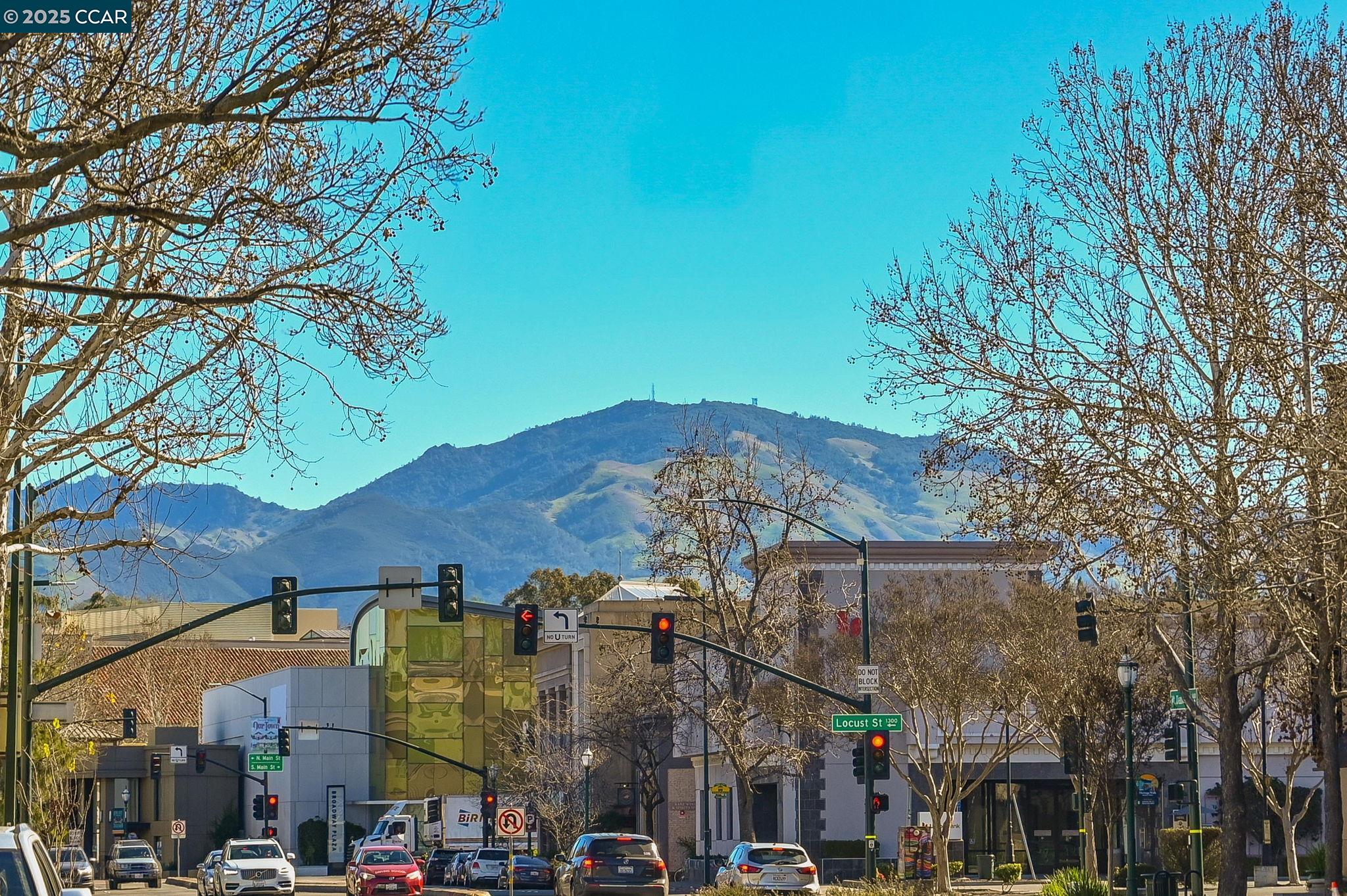 Detail Gallery Image 29 of 38 For 1201 Alta Vista Dr #208,  Walnut Creek,  CA 94596 - 2 Beds | 2 Baths