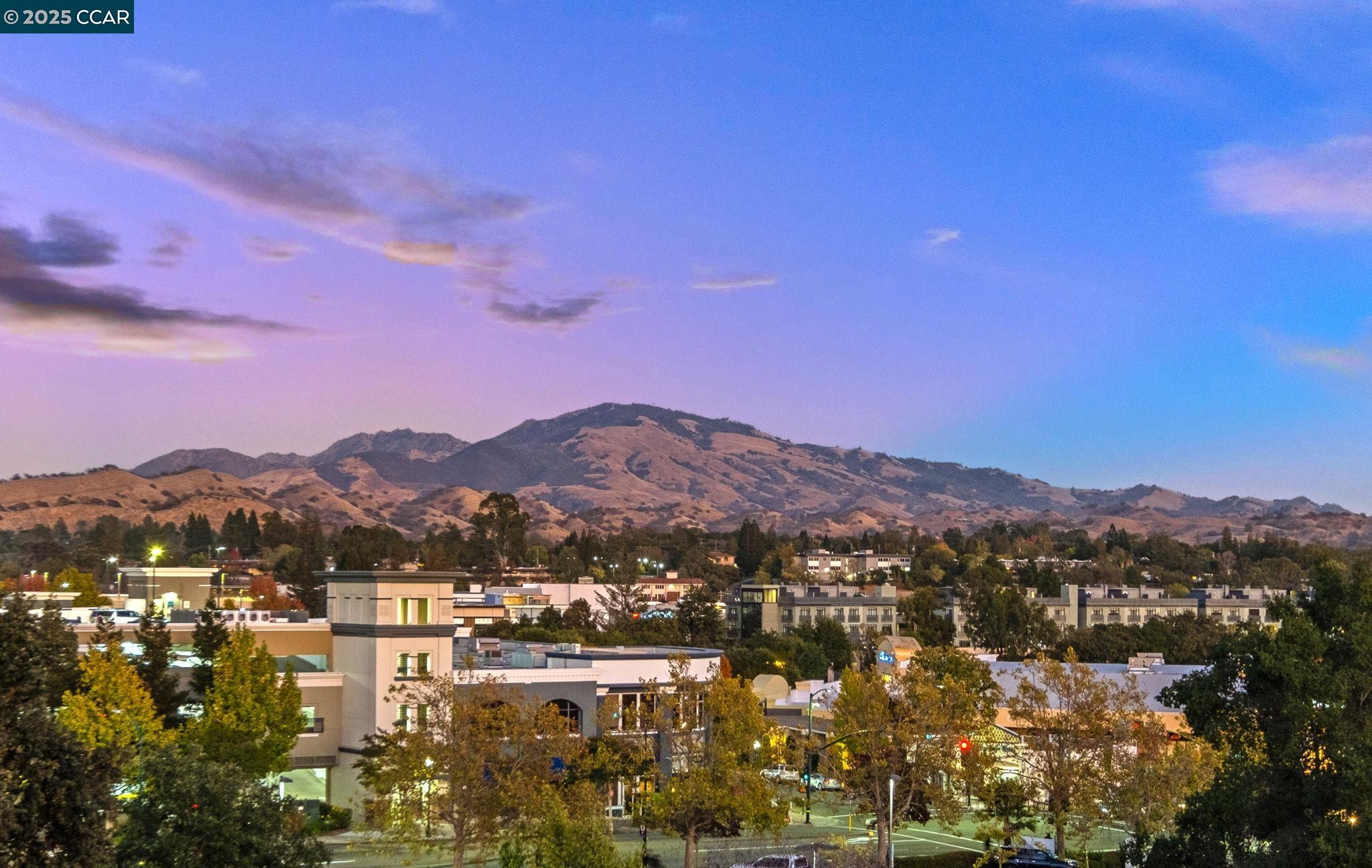 Detail Gallery Image 37 of 38 For 1201 Alta Vista Dr #208,  Walnut Creek,  CA 94596 - 2 Beds | 2 Baths
