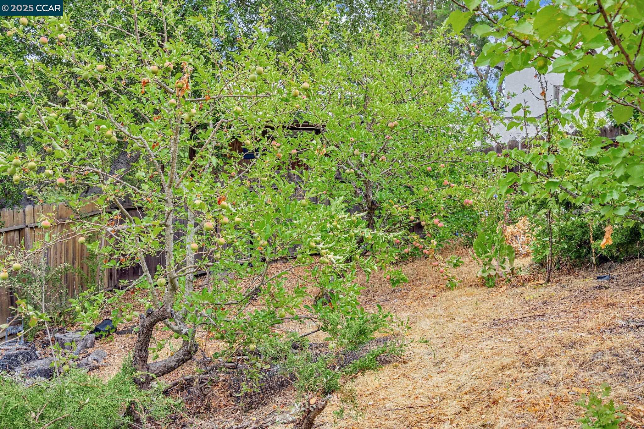 Detail Gallery Image 38 of 39 For 92 Gaywood Pl, Moraga,  CA 94556 - 4 Beds | 2 Baths