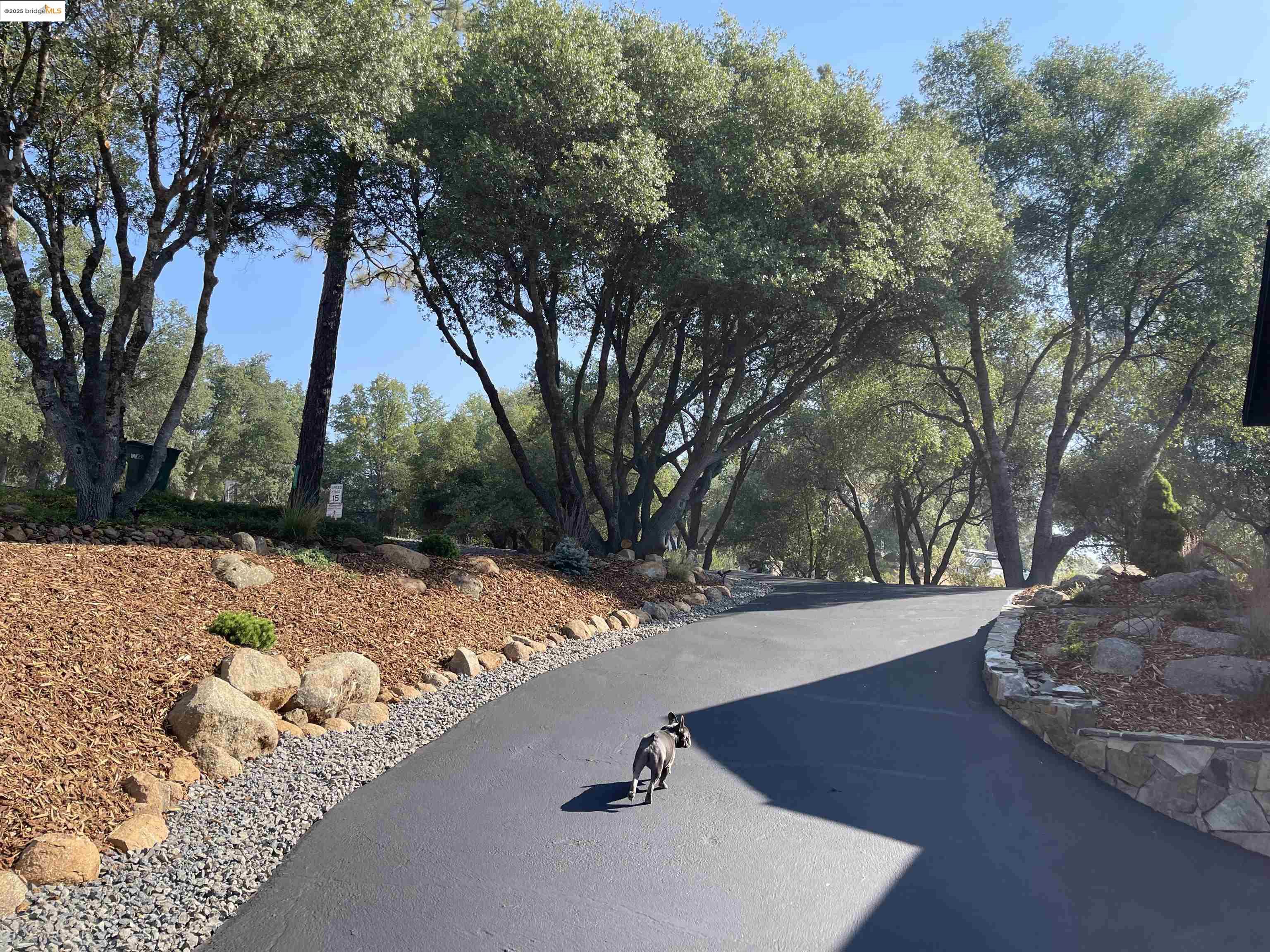 Detail Gallery Image 11 of 60 For 14535 Lake Vista Drive, Sonora,  CA 95370-9693 - 2 Beds | 2/2 Baths