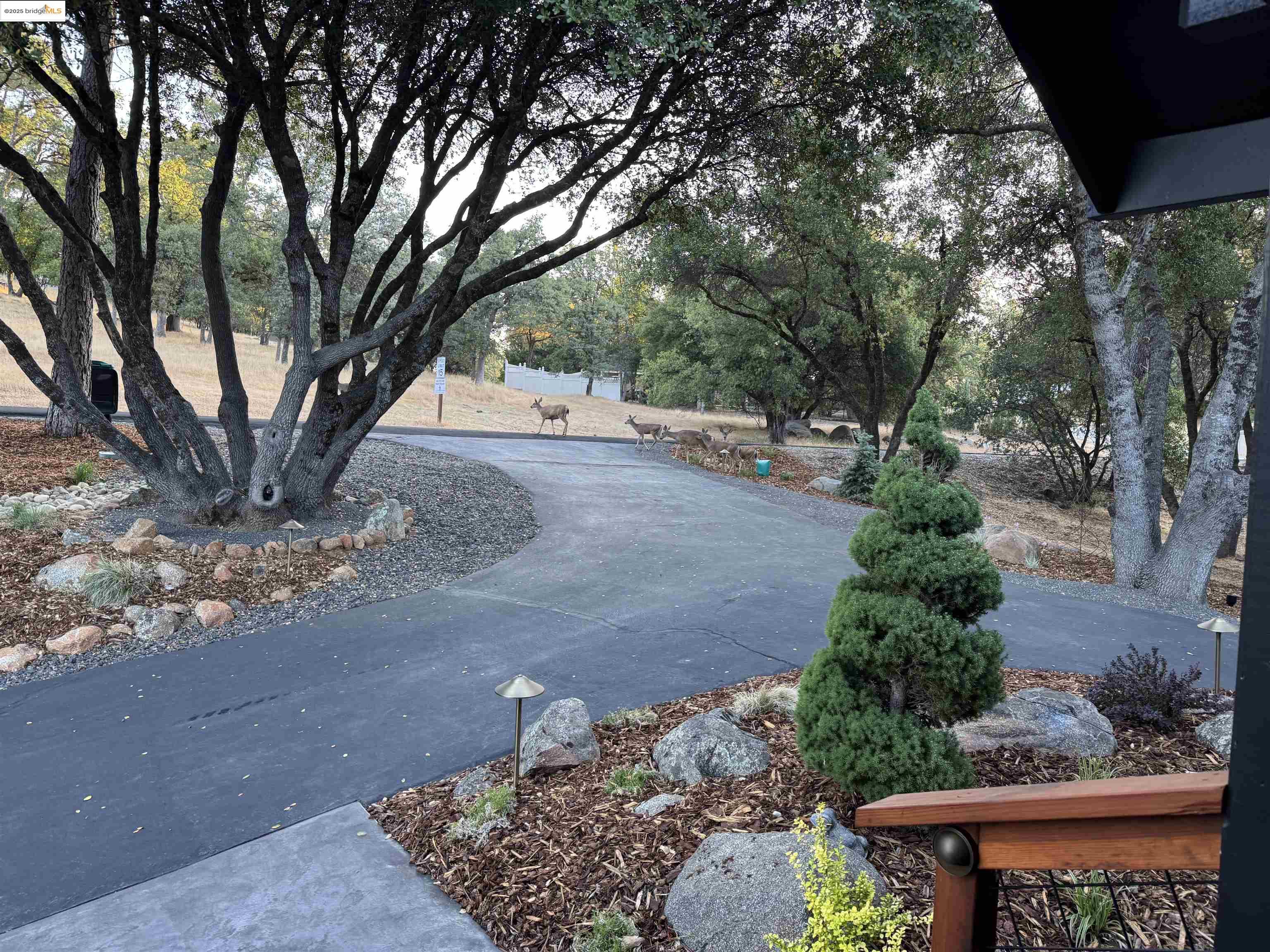 Detail Gallery Image 9 of 60 For 14535 Lake Vista Drive, Sonora,  CA 95370-9693 - 2 Beds | 2/2 Baths