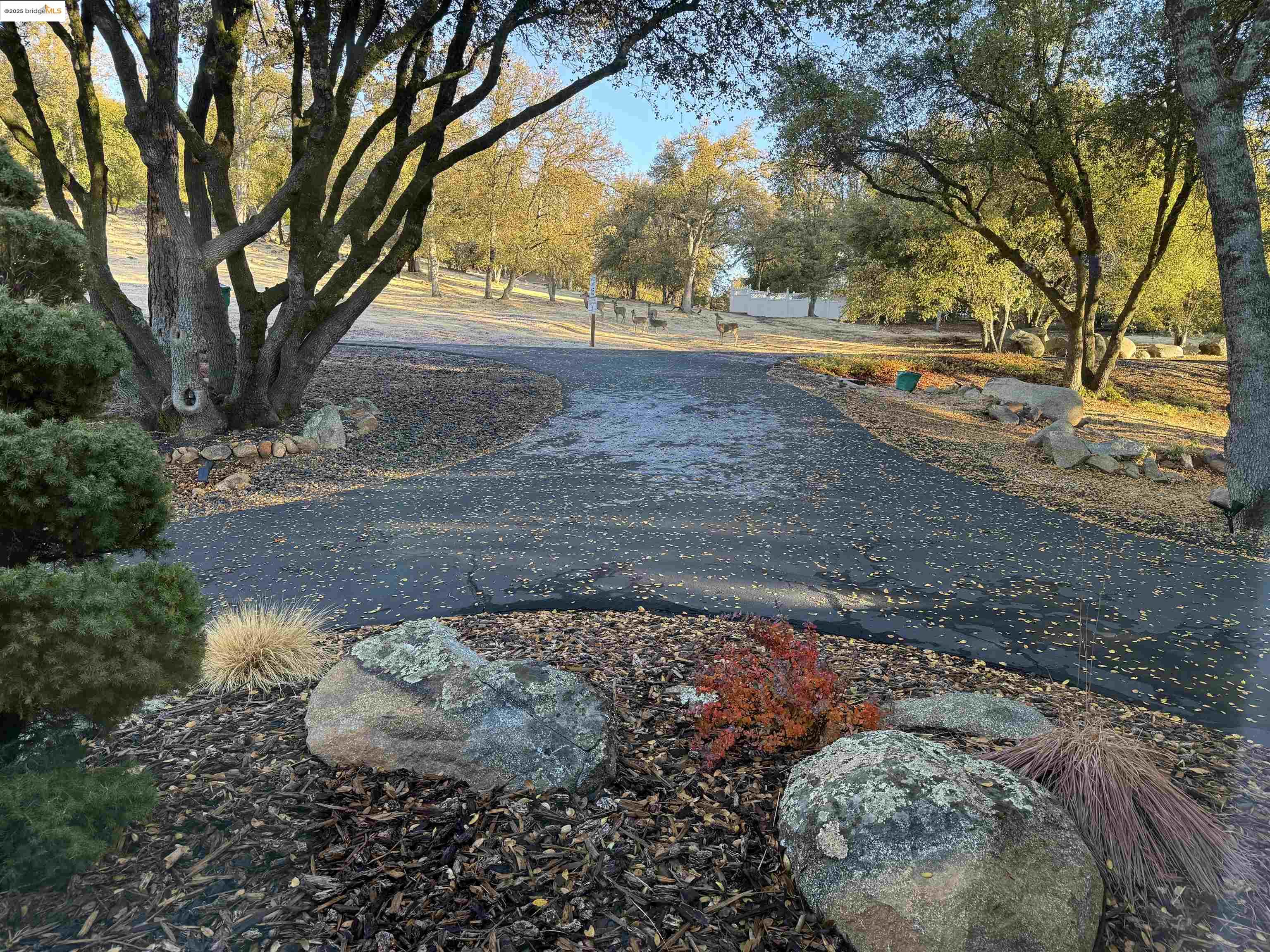 Detail Gallery Image 10 of 60 For 14535 Lake Vista Drive, Sonora,  CA 95370-9693 - 2 Beds | 2/2 Baths