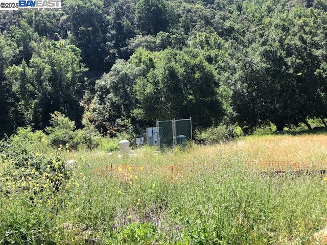 Detail Gallery Image 1 of 39 For 2950 Niles Canyon Rd, Castro Valley,  CA 94552 - – Beds | – Baths