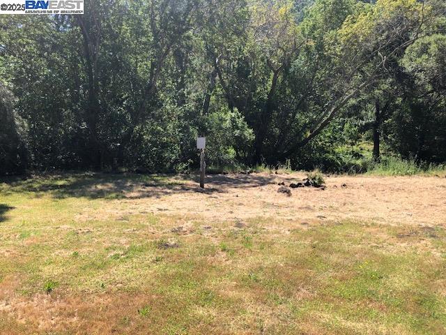 Detail Gallery Image 18 of 39 For 2950 Niles Canyon Rd, Castro Valley,  CA 94552 - – Beds | – Baths