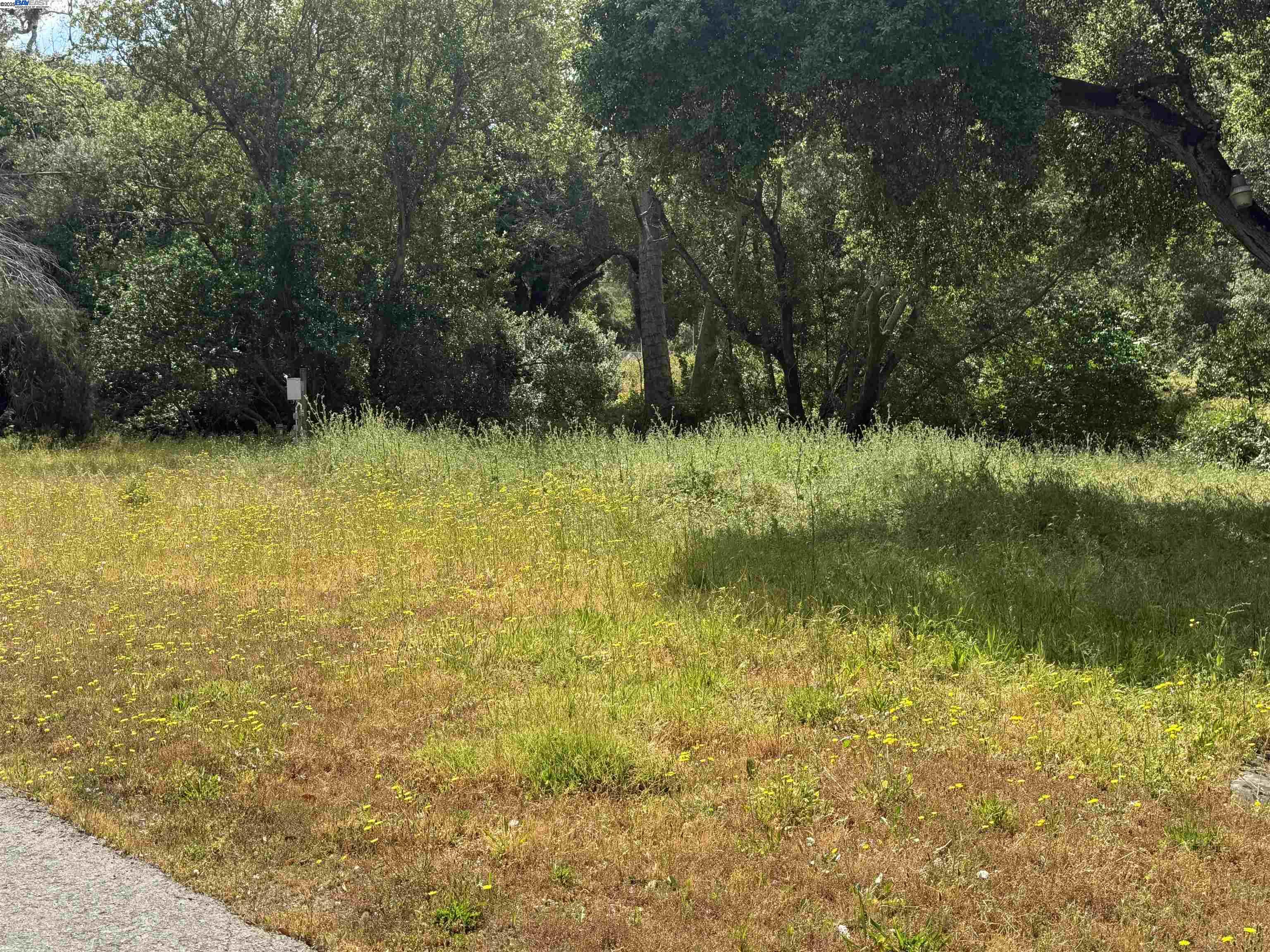 Detail Gallery Image 28 of 39 For 2950 Niles Canyon Rd, Castro Valley,  CA 94552 - – Beds | – Baths