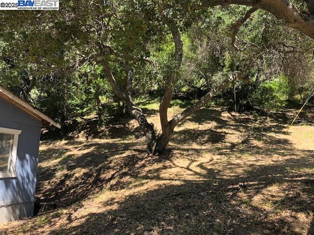 Detail Gallery Image 4 of 39 For 2950 Niles Canyon Rd, Castro Valley,  CA 94552 - – Beds | – Baths