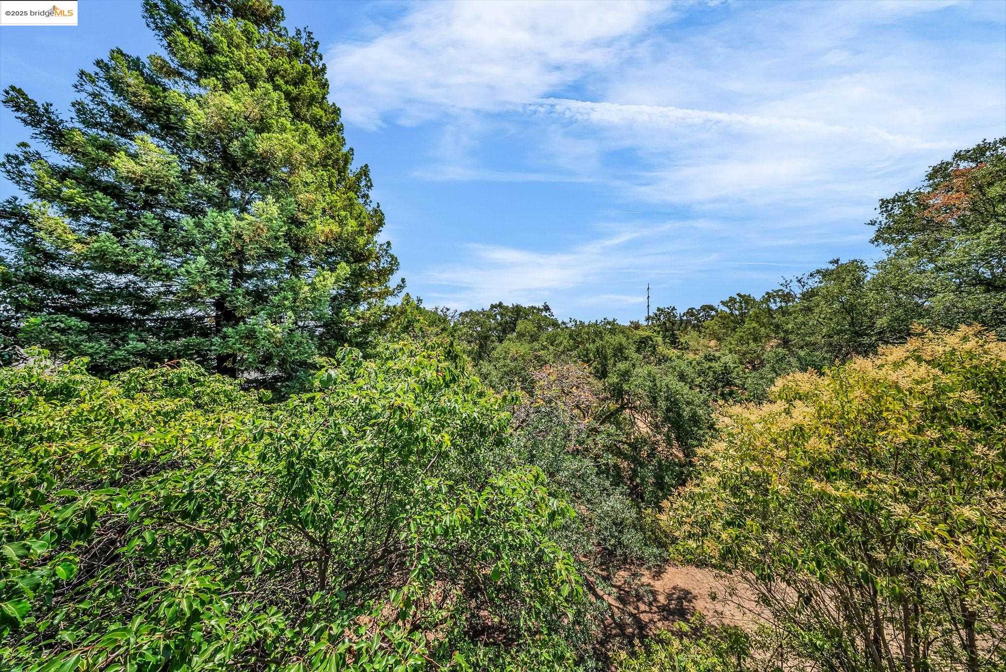 Detail Gallery Image 28 of 28 For 1608 Ashwood Dr, Martinez,  CA 94553 - 3 Beds | 2/1 Baths
