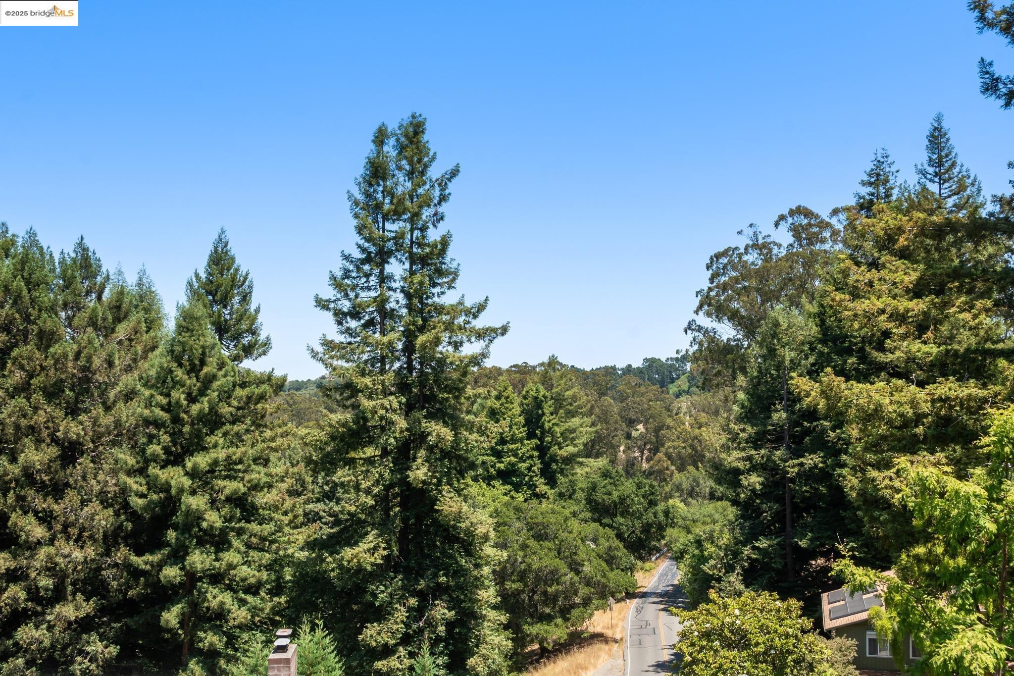 Detail Gallery Image 44 of 60 For 737 Woodhaven Rd, Berkeley,  CA 94708 - 3 Beds | 2/1 Baths