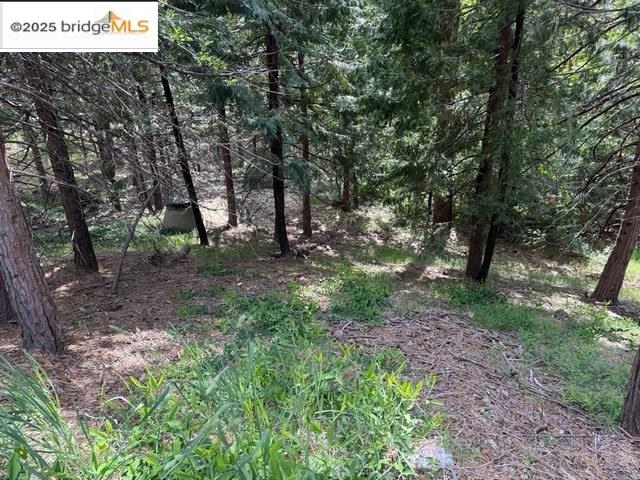 Detail Gallery Image 4 of 7 For 0000 Cedar Pines Ave, Twain Harte,  CA 95383 - – Beds | – Baths