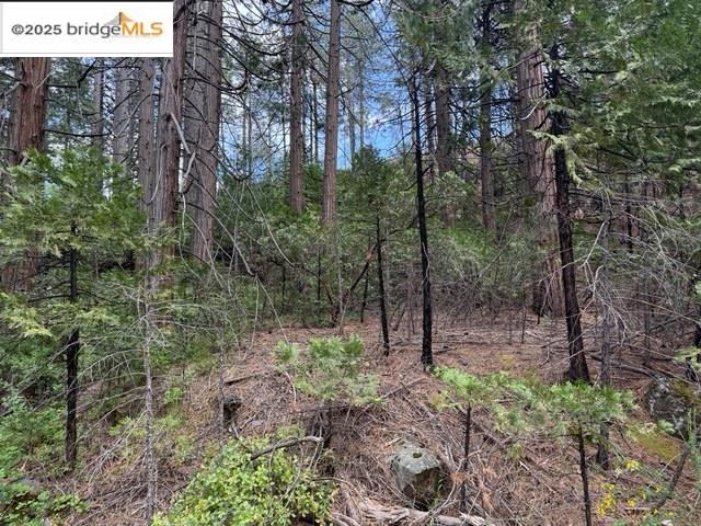 Detail Gallery Image 6 of 7 For 0000 Cedar Pines Ave, Twain Harte,  CA 95383 - – Beds | – Baths