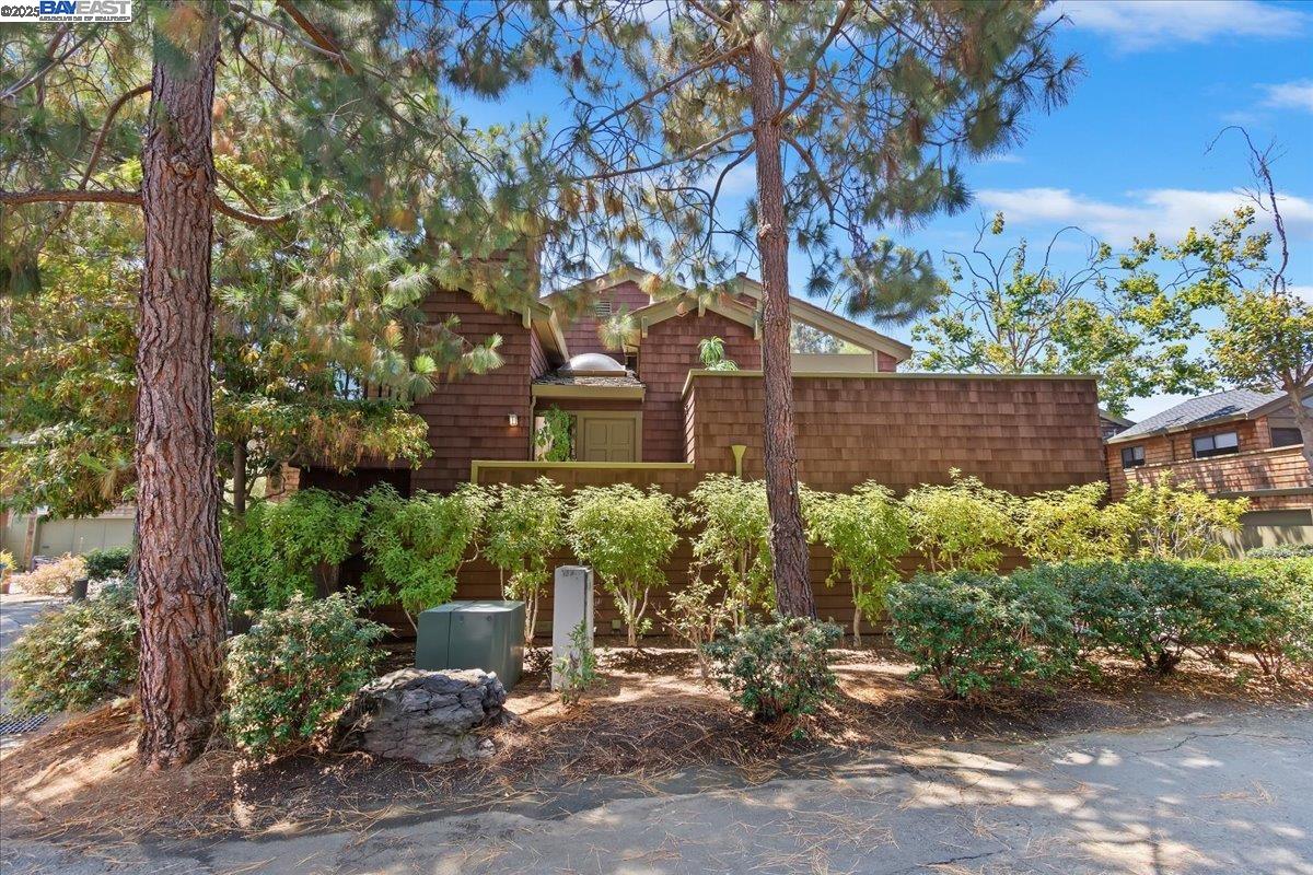 Photo #31: 41104957 Listing: Photo #31