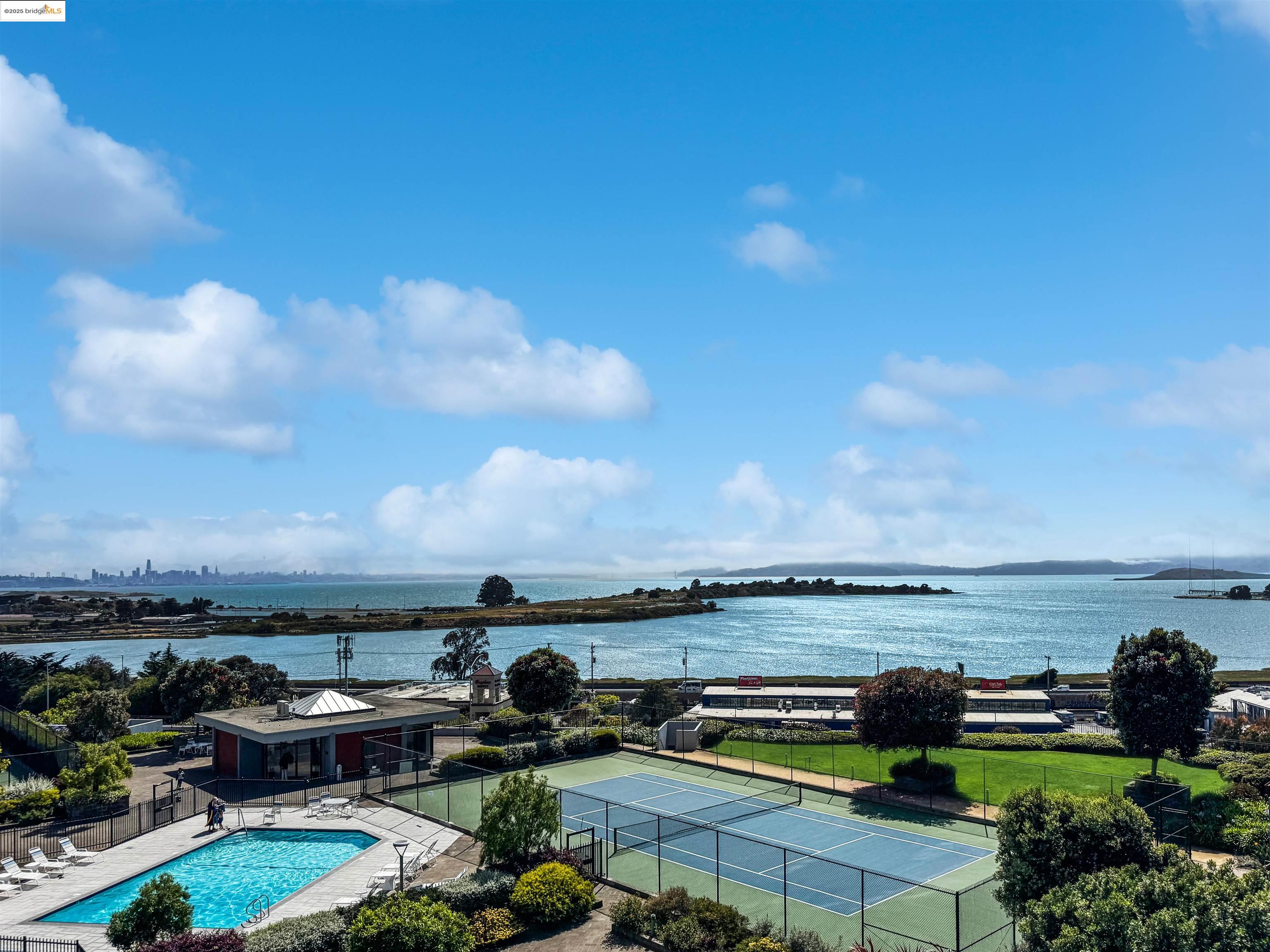 Detail Gallery Image 1 of 9 For 555 Pierce St #524,  Albany,  CA 94706 - 1 Beds | 1 Baths