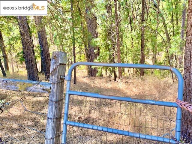 Detail Gallery Image 21 of 21 For 11350 Big Creek Shaft Rd, Groveland,  CA 95321-9719 - 3 Beds | 2 Baths