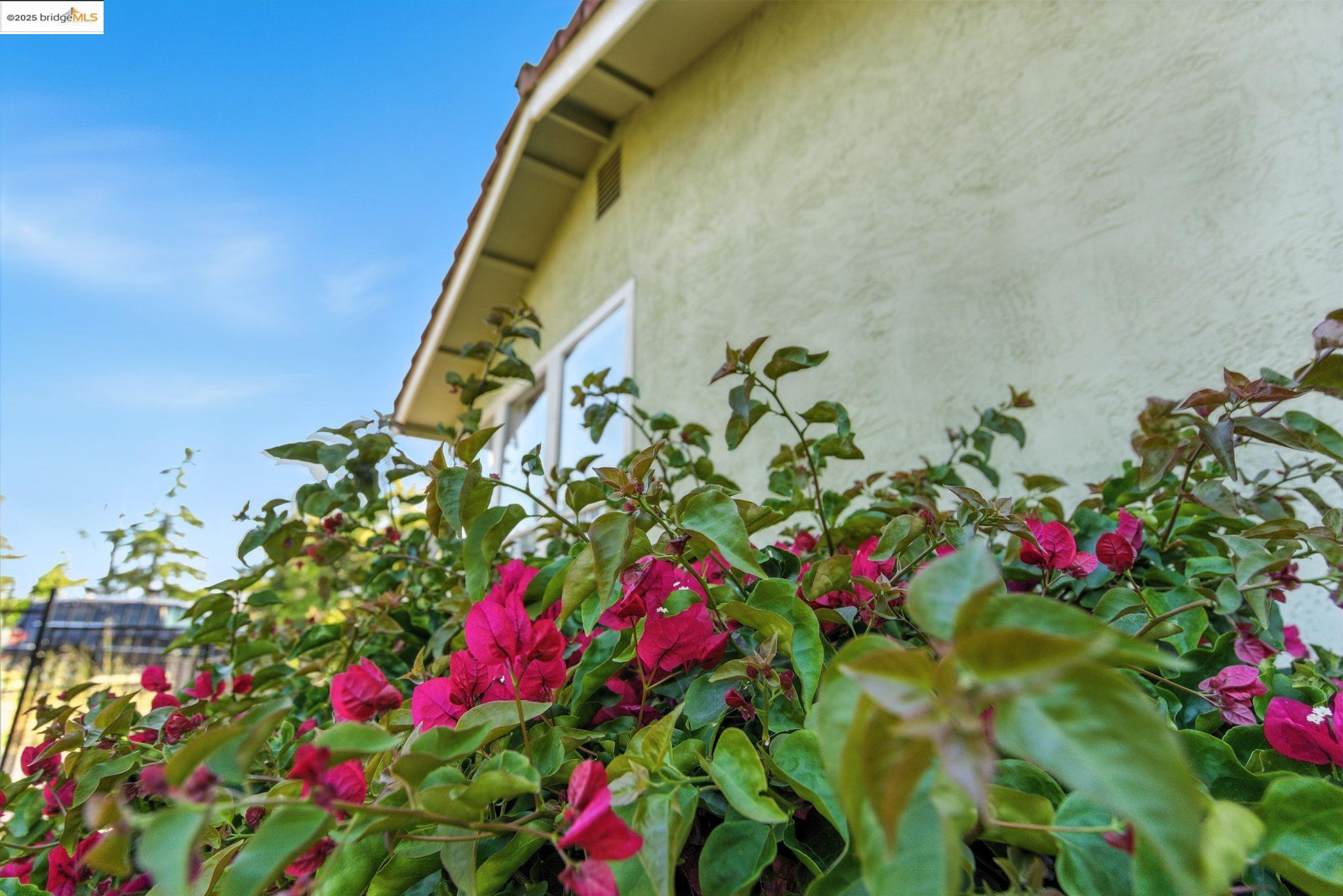 Detail Gallery Image 32 of 33 For 1155 Kelvin Rd, El Sobrante,  CA 94803 - 3 Beds | 2 Baths