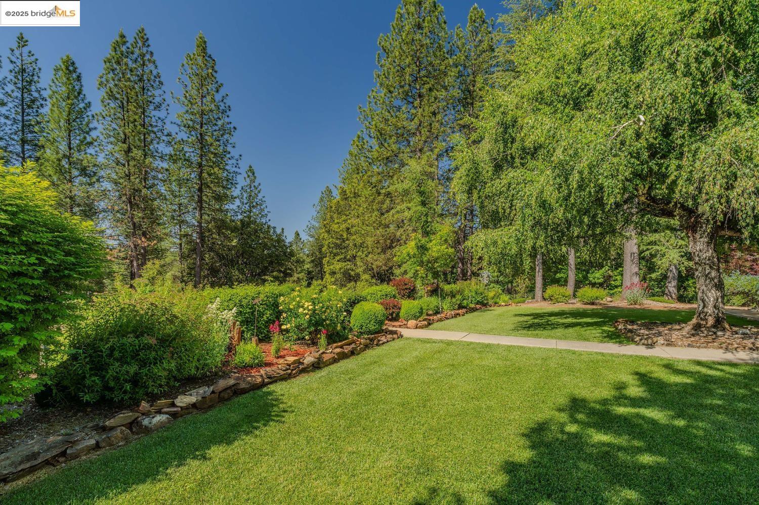 Detail Gallery Image 6 of 60 For 4048 Independence Road 1, Mokelumne Hill,  CA 95245-9763 - 5 Beds | 4 Baths
