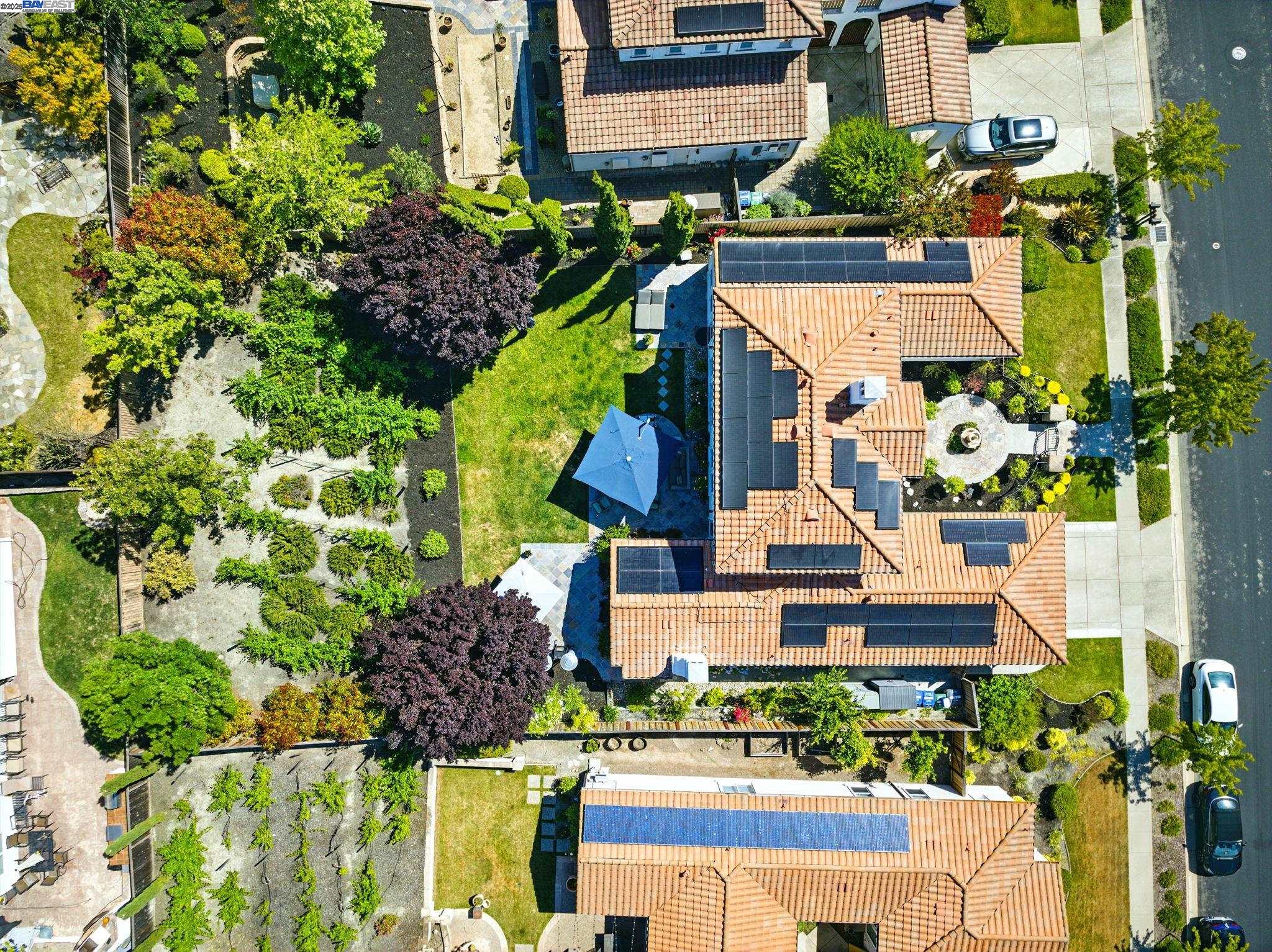 Detail Gallery Image 49 of 55 For 9569 Velvetleaf Cir, San Ramon,  CA 94582 - 5 Beds | 4 Baths