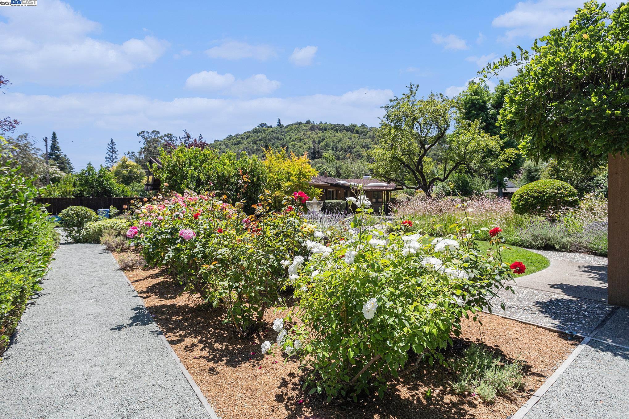 Detail Gallery Image 31 of 38 For 1407 Black Hawk Ct, Lafayette,  CA 94549 - 3 Beds | 2/1 Baths