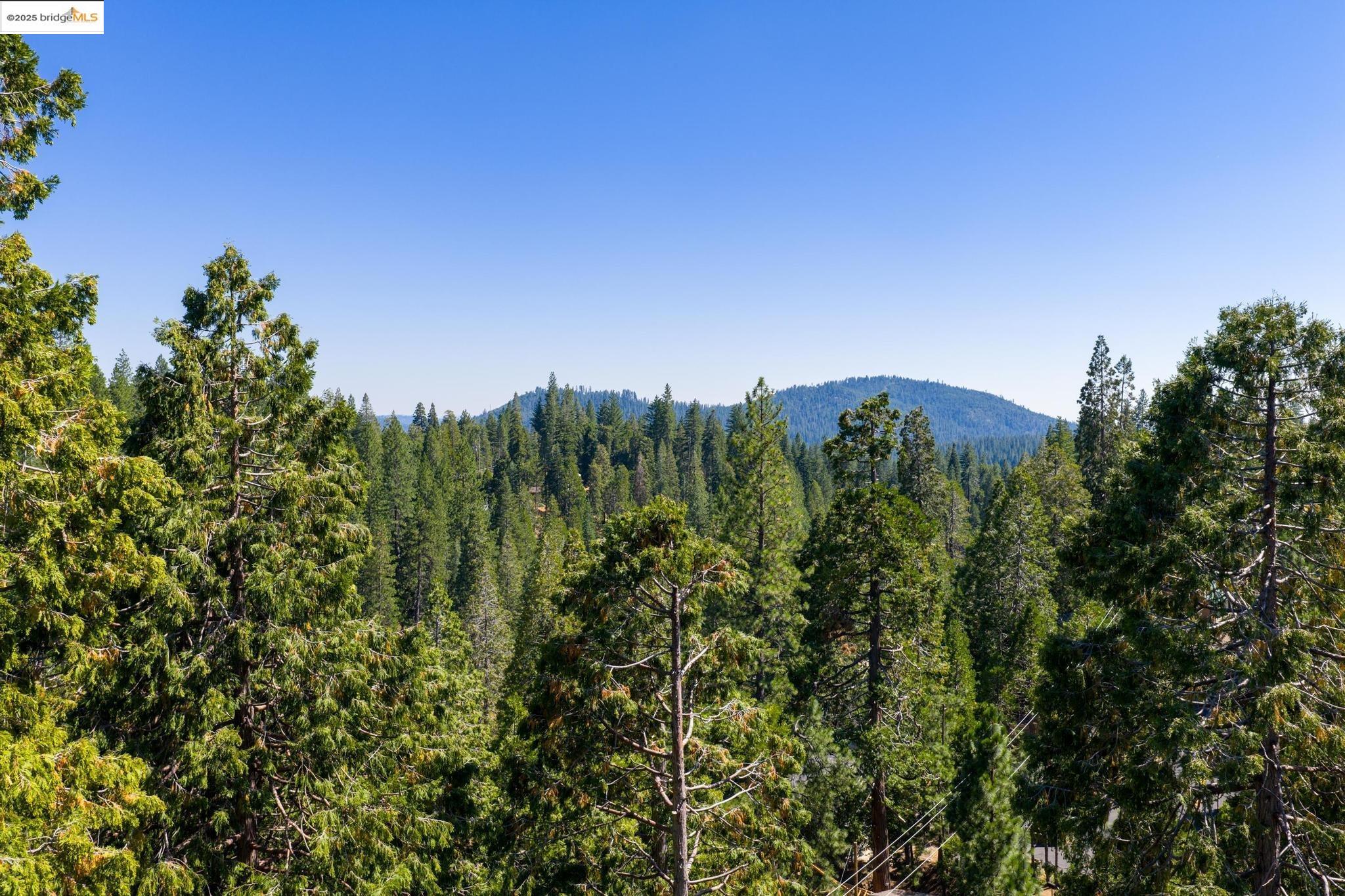 Detail Gallery Image 60 of 60 For 24033 Pine Cone Road, Twain Harte,  CA 95383-9531 - 3 Beds | 2 Baths
