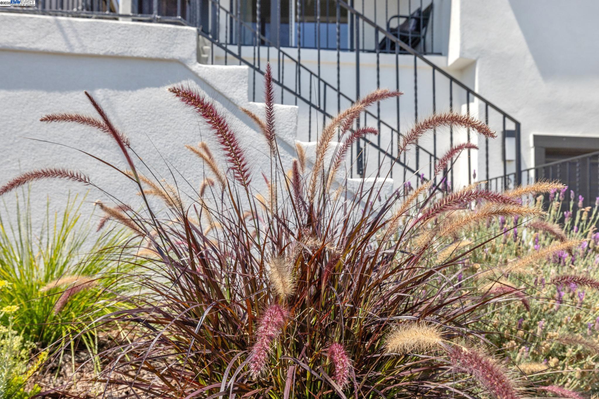 Detail Gallery Image 2 of 55 For 2643 99th Ave, Oakland,  CA 94605 - 3 Beds | 2 Baths