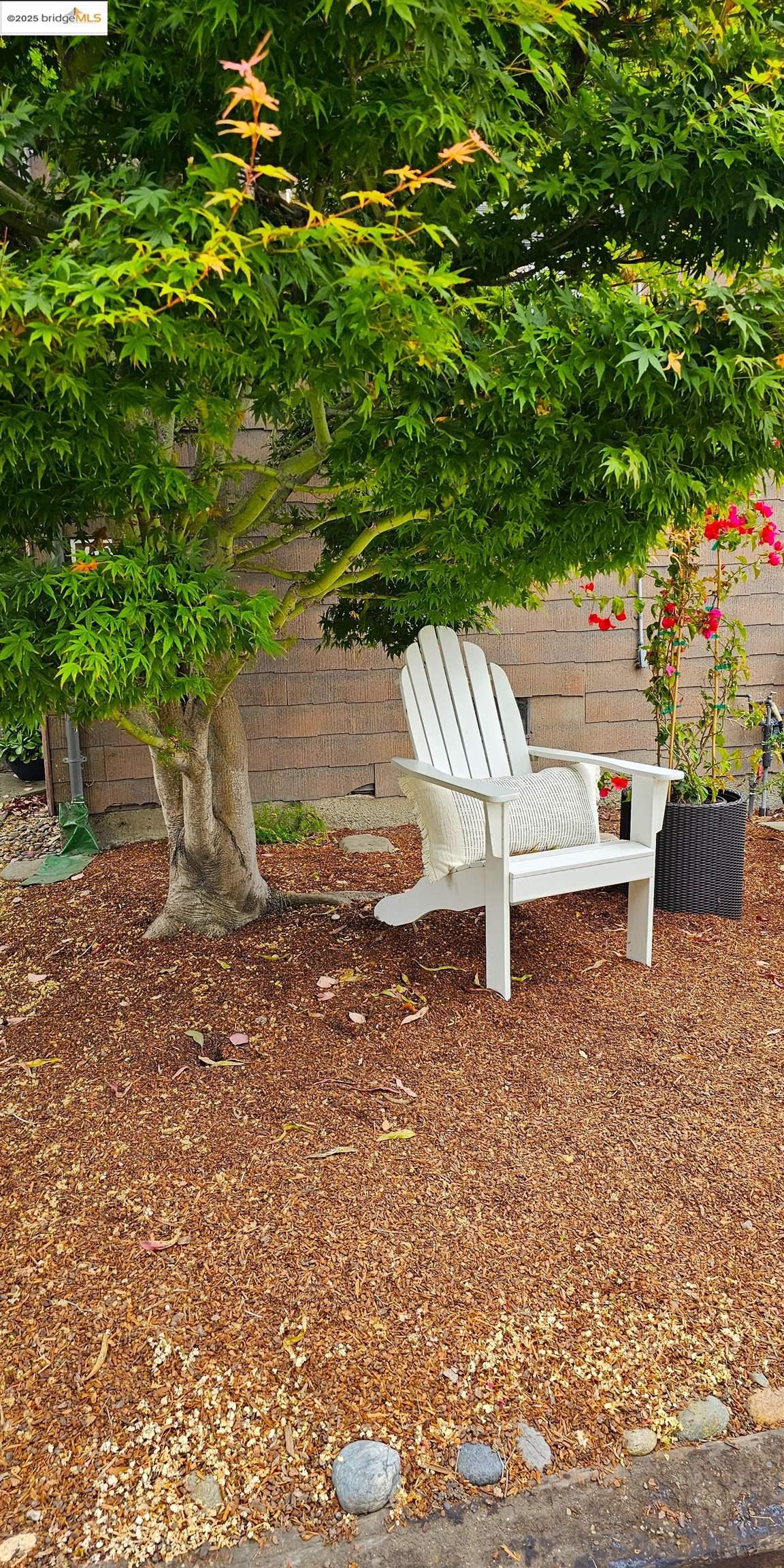 Detail Gallery Image 4 of 25 For 1130 Derby St, Berkeley,  CA 94702 - 1 Beds | 1 Baths