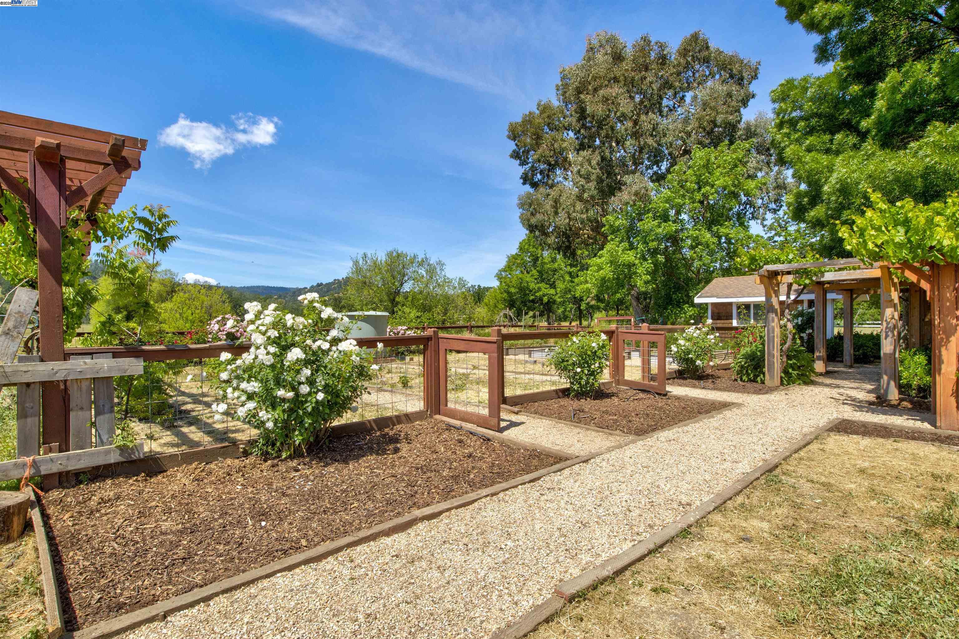 Detail Gallery Image 13 of 32 For 2051 Dollarhide Rd, Saint Helena,  CA 94574 - 2 Beds | 1 Baths