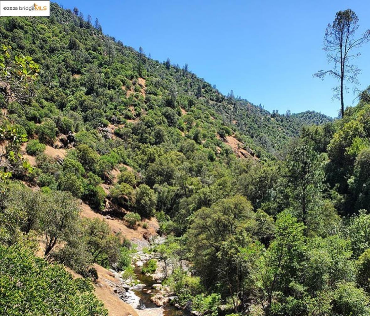 Detail Gallery Image 1 of 5 For , Tuolumne,  CA 95379 - – Beds | – Baths
