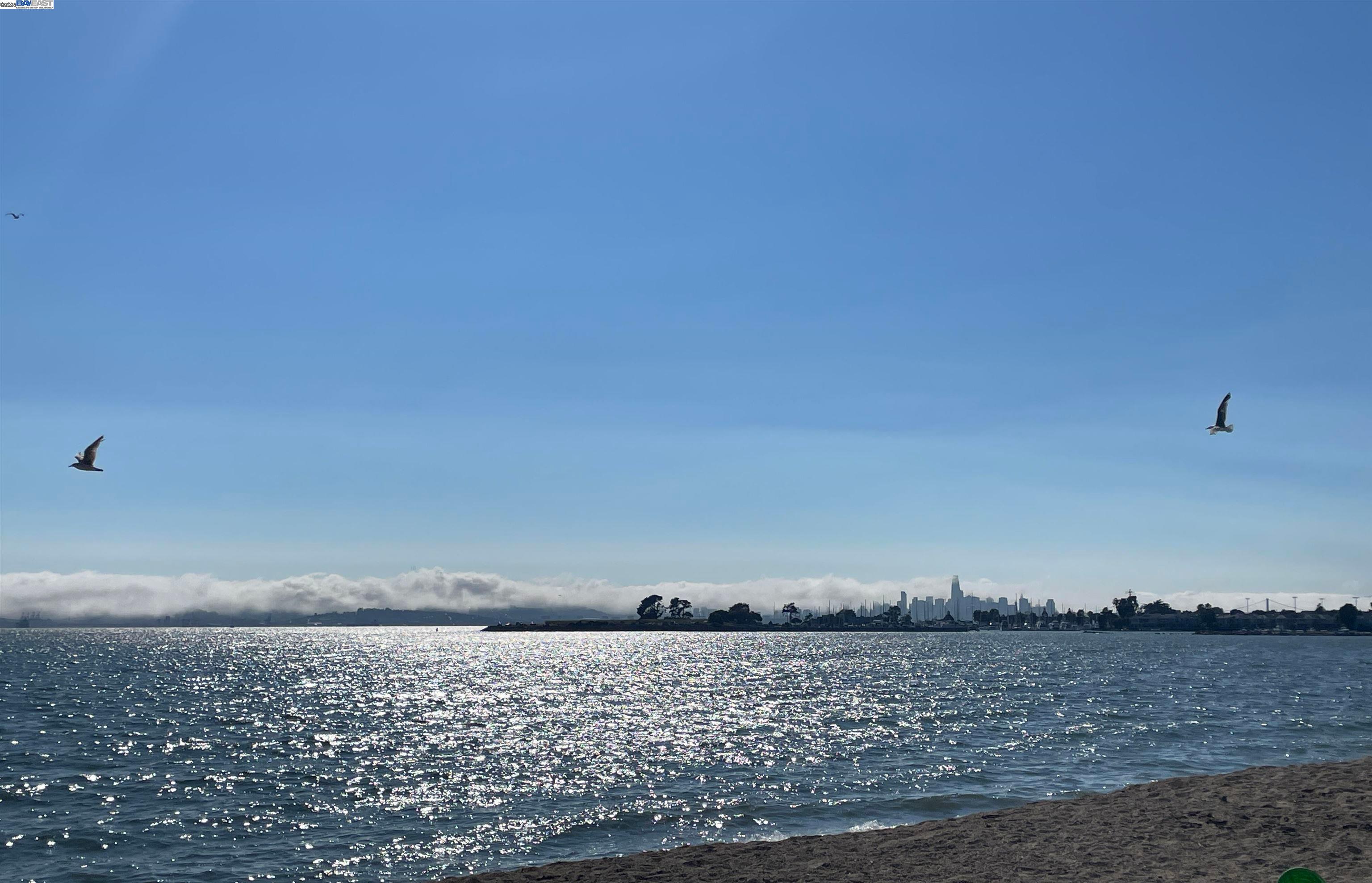 Detail Gallery Image 22 of 28 For 965 Shorepoint Ct #200, Alameda,  CA 94501 - 1 Beds | 1/1 Baths