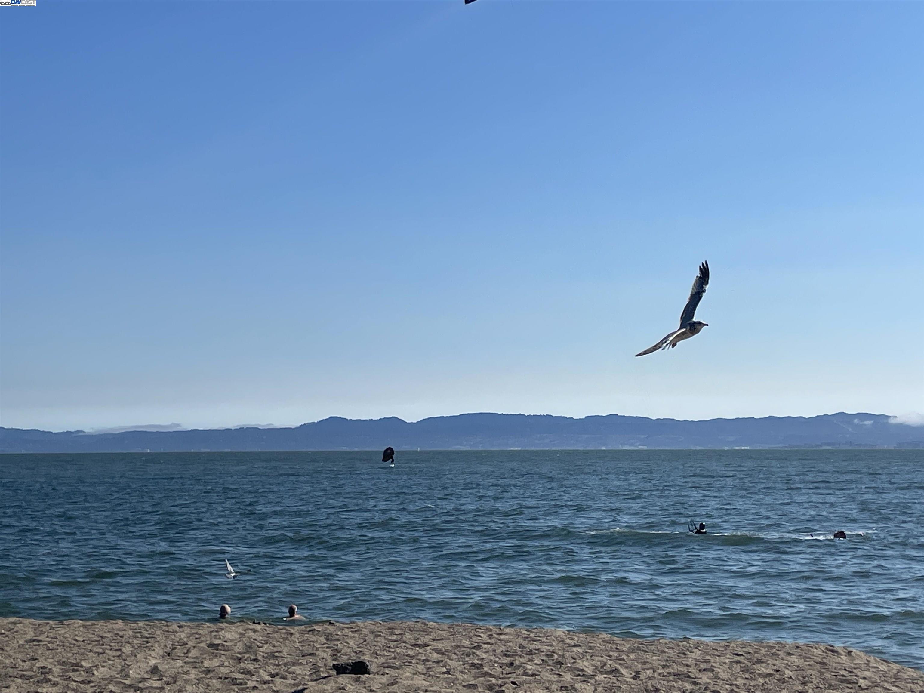 Detail Gallery Image 23 of 28 For 965 Shorepoint Ct #200, Alameda,  CA 94501 - 1 Beds | 1/1 Baths