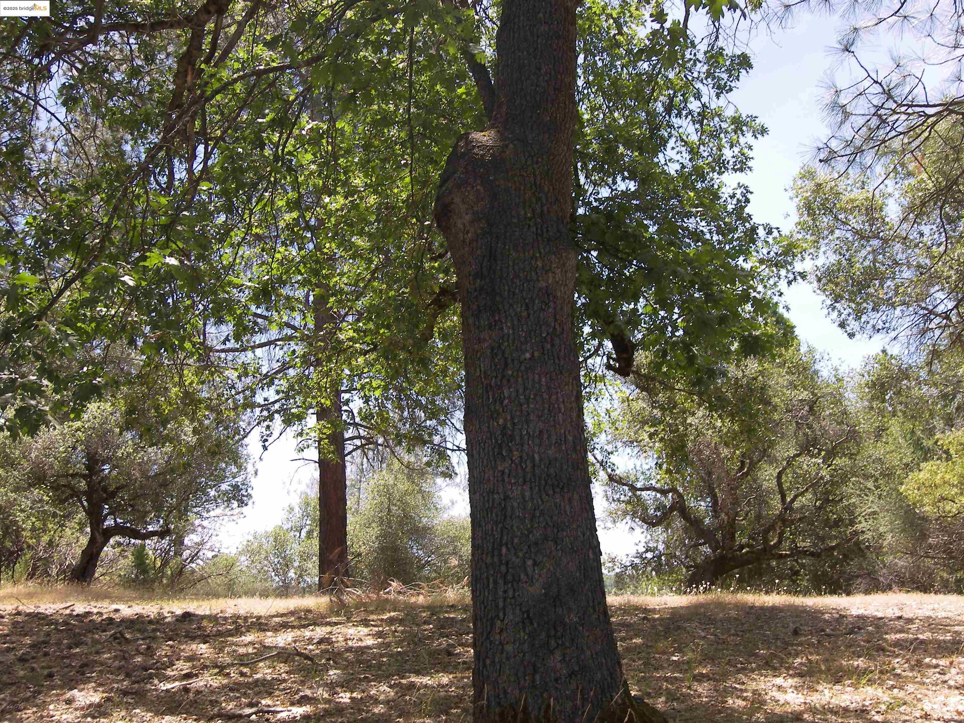 Detail Gallery Image 1 of 32 For Point View Dr., Groveland,  CA 95321 - – Beds | – Baths