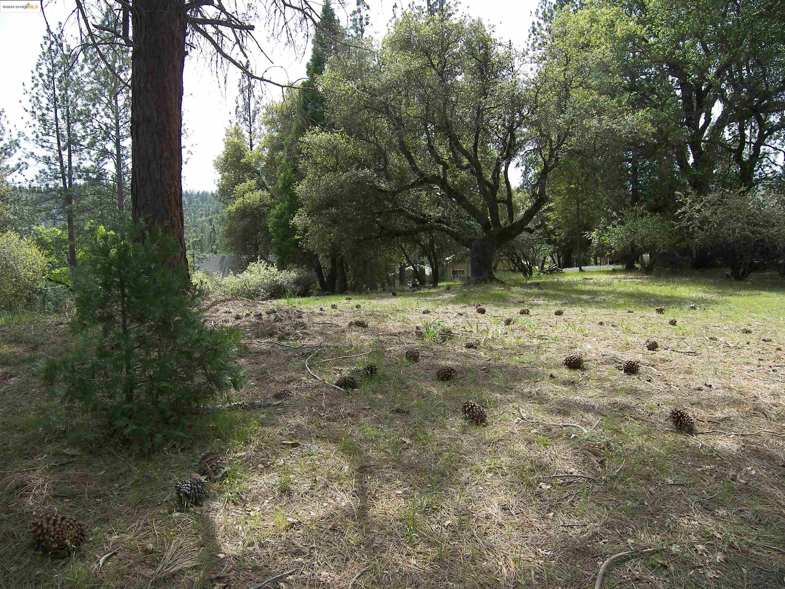 Detail Gallery Image 2 of 32 For Point View Dr., Groveland,  CA 95321 - – Beds | – Baths
