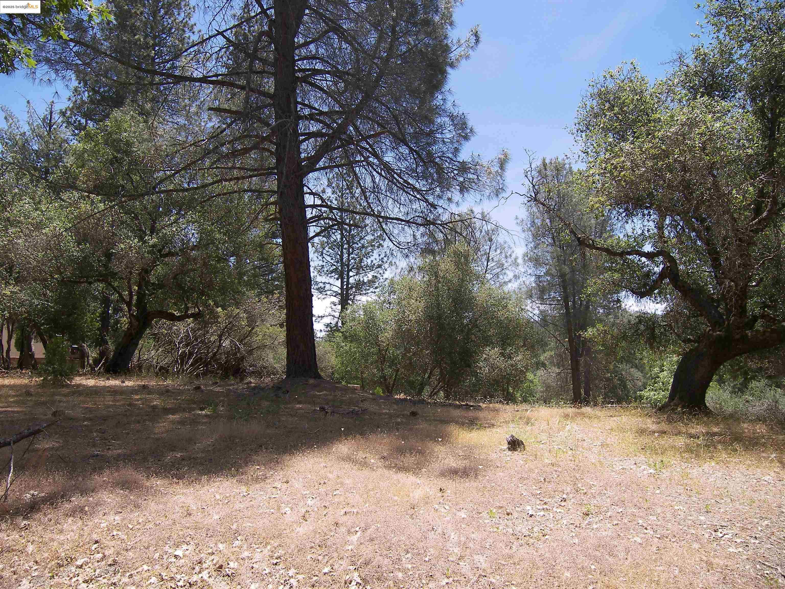 Detail Gallery Image 11 of 32 For Point View Dr., Groveland,  CA 95321 - – Beds | – Baths