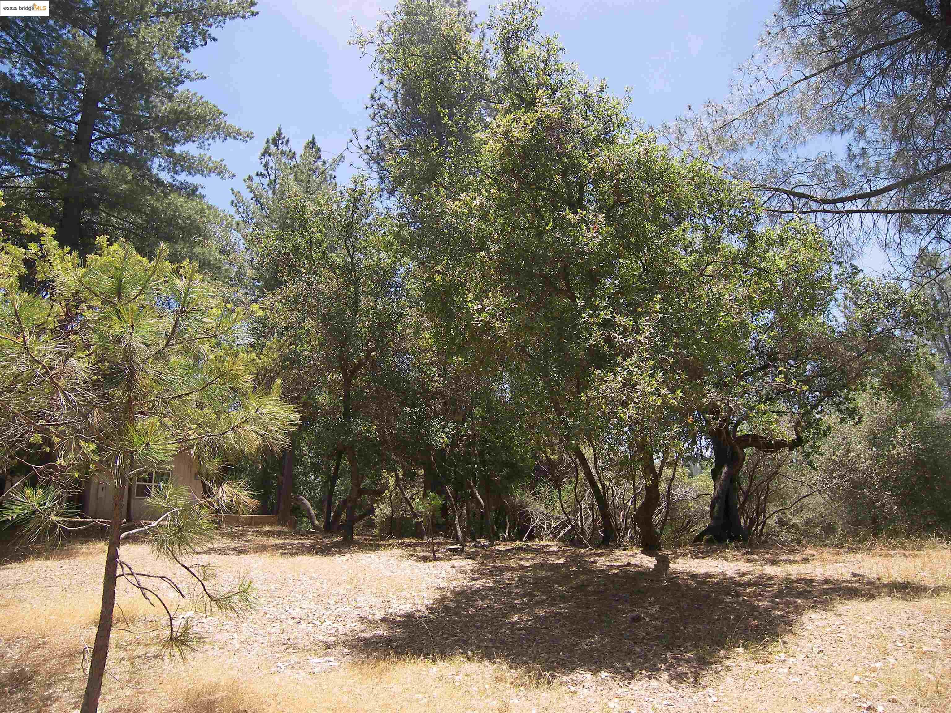 Detail Gallery Image 12 of 32 For Point View Dr., Groveland,  CA 95321 - – Beds | – Baths